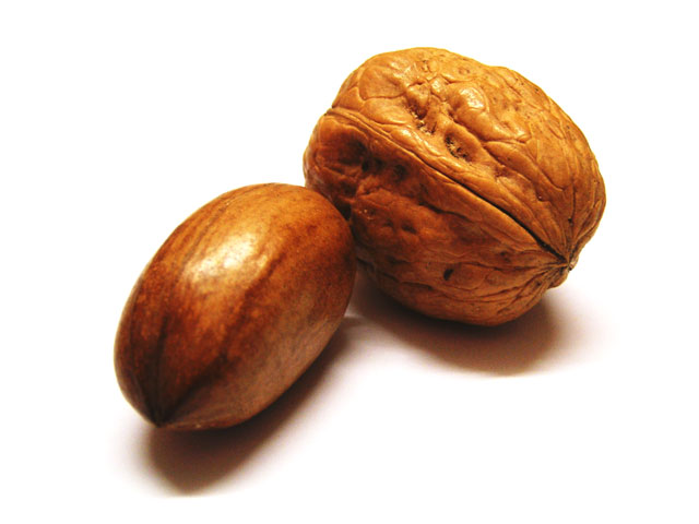 'PECAN: Hi! my name's Tony and I want to scratch your back. WALNUT: Hi my name's George and I'm gonna let ya!