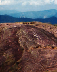 click here for a closer view