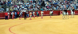 Bullfight 01