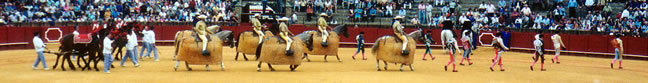 Bullfight 02
