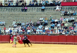 Bullfight 06