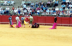 Bullfight 07