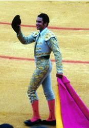 Bullfight 08