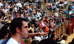 Bullfight 09