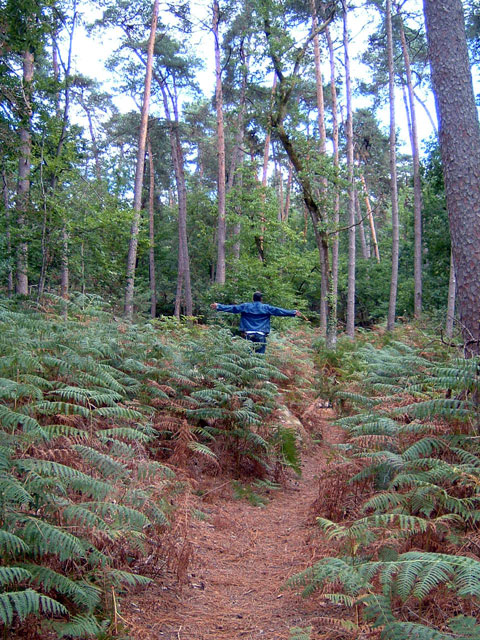 An intrepid blogger standing in a forest (Click for a close-up ... If you dare!)